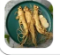 Korean ginseng